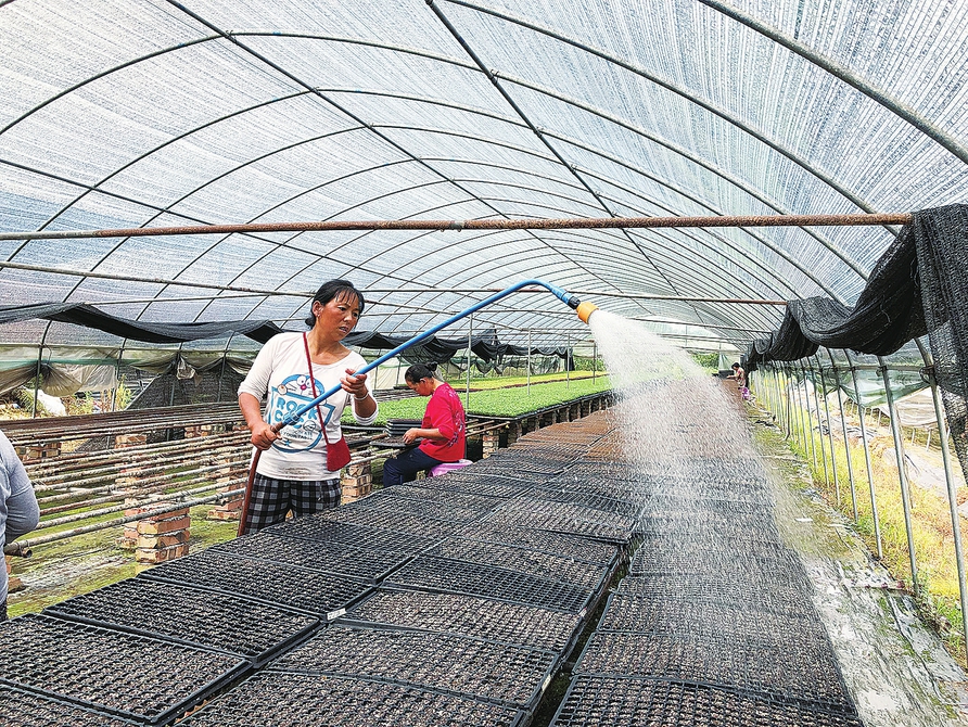 村民在花卉基地播種