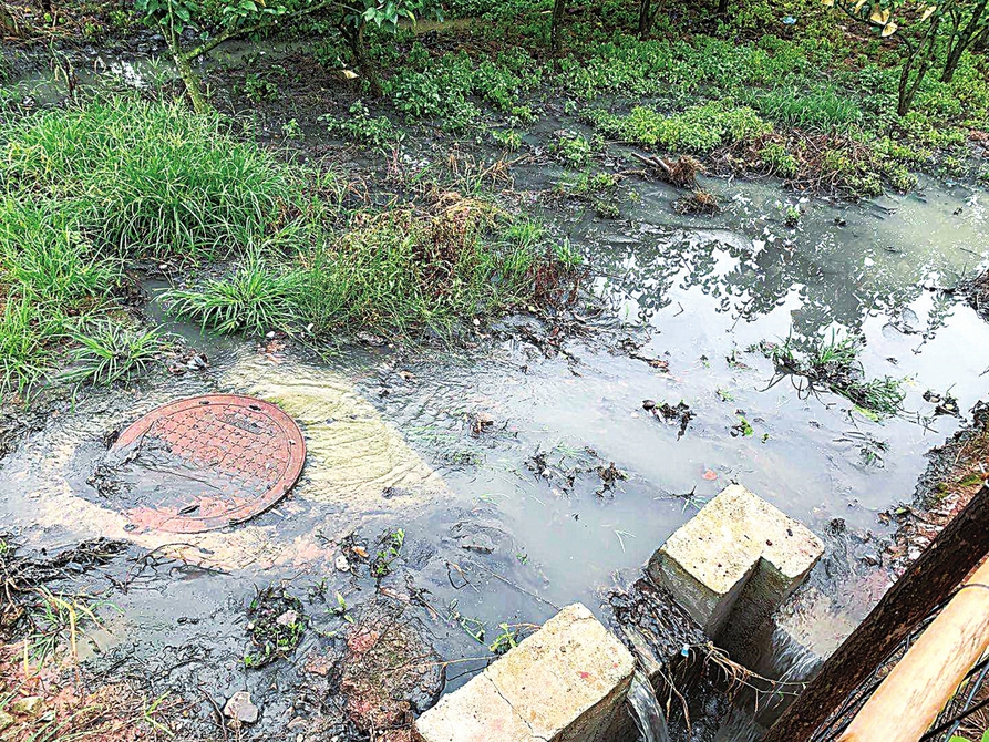 　　尚城半島至天醉園的人行步道旁一個果園內(nèi)，一股污水從井蓋直接溢出。
