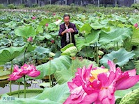 陶德均：左手荷蓮，右手鄉(xiāng)村