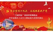 中華全國總工會文工團(tuán)慰問演出
