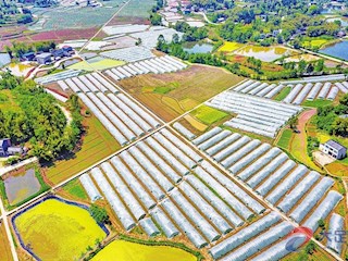 航拍下的奉荃蔬菜種植股份合作社基地