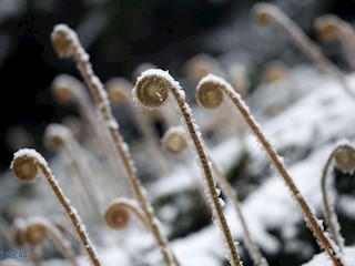 玉龍雪景如詩如畫