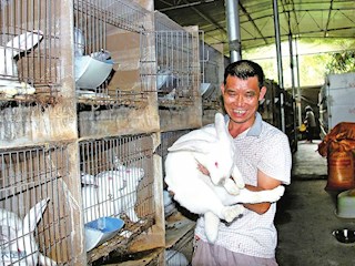 優(yōu)質(zhì)種養(yǎng)兔-大足網(wǎng)圖庫(kù)