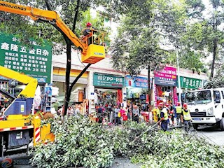 枝葉修剪-大足網(wǎng)圖庫(kù)