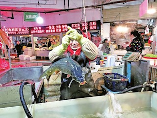 隨著氣溫降低，豬、牛、羊等價(jià)格居高不下，本地水產(chǎn)價(jià)格相對(duì)平穩(wěn)