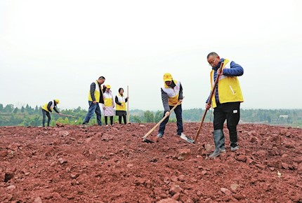 冬季義務(wù)植樹