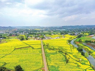 春來(lái)鄉(xiāng)村美如畫(huà)