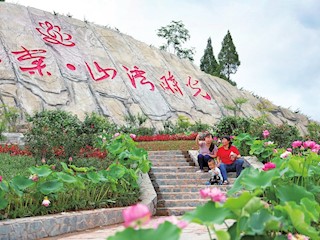 我區(qū)啟動(dòng)城區(qū)坡坎崖壁等立體綠化改造工作