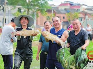 村民喜過“逮魚節(jié)” 歡聲笑語蕩田間