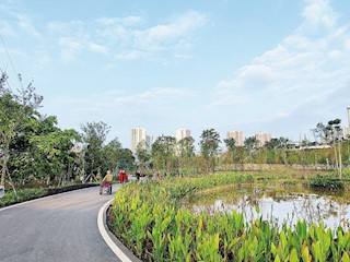 冬日暖陽下的紅星生態(tài)公園