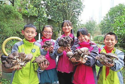 雙橋?qū)嶒?yàn)小學(xué)著力打造勞動(dòng)實(shí)踐基地