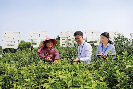 區(qū)紀(jì)委監(jiān)委立足監(jiān)督職責(zé) 有力監(jiān)督護(hù)航鄉(xiāng)村振興