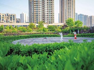 暮春三月公園綠 戶(hù)外健身享樂(lè)趣